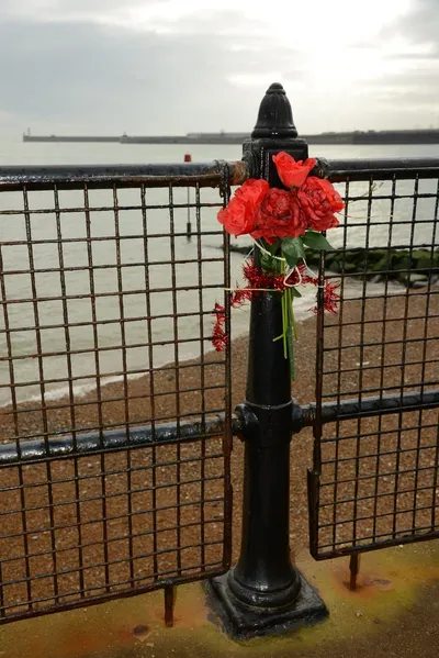 DSC_1279 (Large).JPG